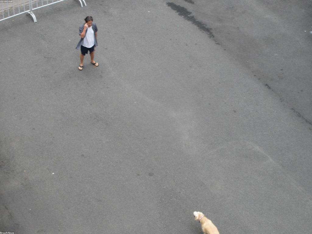 និន្នាការហ្គេមថ្មីដែលអ្នកមិនគួរបរាជ័យ